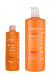 Lebel (Лейбл) Шампунь для окрашенных волос, поврежденных химической завивкой (Proscenia | Shampoo), 300/1000 мл.