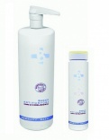 Hair Company (Хаир Компани) Шампунь против перхоти (Double Action | Anti-dandruff shampoo), 250 мл.
