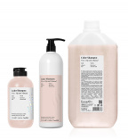 Farmavita (Фармавита) Шампунь для защиты цвета и блеска волос № 01 (Back Bar Color Shampoo), 250/1000/5000 мл.