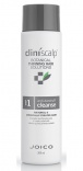 Joico (Джойко) Шампунь очищающий от перхоти (Cliniscalp Anti Dandruff Shampoo), 300 мл