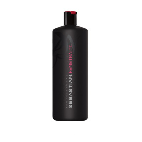 Sebastian (Себастьян) Шампунь для восстановления и гладкости волос (Penetraitt Shampoo), 1000 мл.