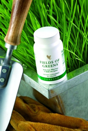 FLP (ФЛП) Форевер Поля Зелени Проростки (Forever Living Products), 80 т.