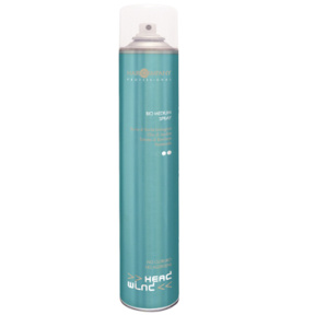 Hair Company (Хаир Компани) Био-спрей средней фиксации (Head Wind | Bio medium spray), 500 мл