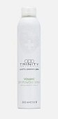 Trinity (Тринити) Сухой Шампунь Reload Volume Dry Powder Spray 300 мл