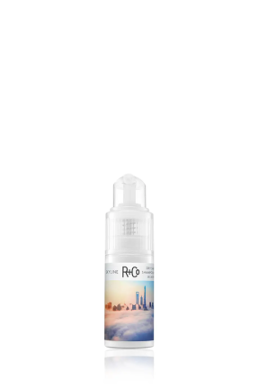 R+Co ГОРИЗОНТ Сухой шампунь (SKYLINE Dry Shampoo Powder), 28 гр